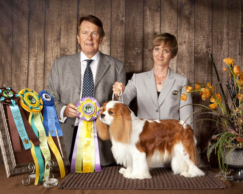 Richard Newton, Best Opposite Sex/Winners Dog, Vancouver COTW given to Beckwith Cavaliers - There's Only One