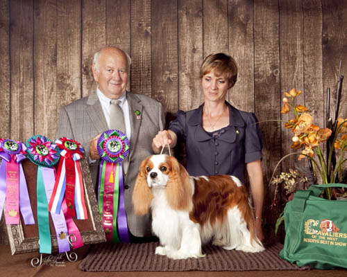 Dick Terry, Reserve Best in Show, Vancouver COTW given to Beckwith Cavaliers - There's Only One